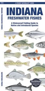 Indiana Freshwater Fishes (Pocket Naturalist® Guide)