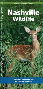 Nashville Wildlife (Pocket Naturalist® Guide)