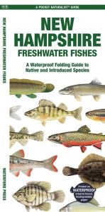 New Hampshire Freshwater Fishes (Pocket Naturalist® Guide)