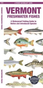 Vermont Freshwater Fishes (Pocket Naturalist® Guide)