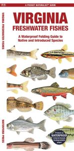 Virginia Freshwater Fishes (Pocket Naturalist® Guide)