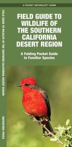 Field Guide to Wildlife of the Southern California Desert Region (Pocket Naturalist® Guide)