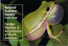 Reptiles And Amphibians (Audubon Society Pocket Guides)