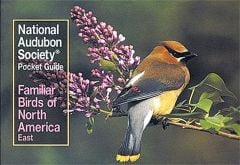 Eastern Birds (Audubon Society Pocket Guides)