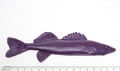 Walleye Fish Printing Replica (18")