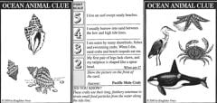 Ocean Animal Clue Cards (Once Upon A Seashore)