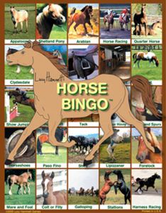 Horse Bingo Game