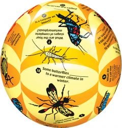 Insects Instructional Play Ball