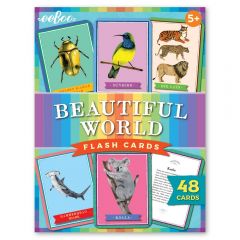 Beautiful World Flash Cards