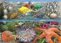 Exploring the Seashore (35-Piece Tray Puzzle)