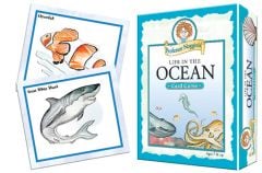 Life In The Ocean Card Game (Professor Noggin)