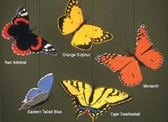Butterflies Mobile