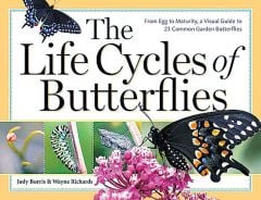 Life Cycles Of Butterflies (The), From Egg To Maturity, A Visual Guide To 23 Common Butterflies
