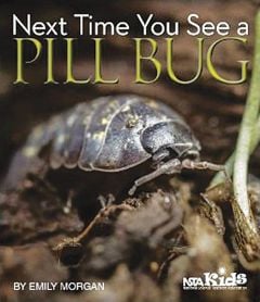 Next Time You See A Pill Bug