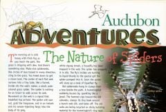 Audubon Adventures Kit #8:  Cool Critters