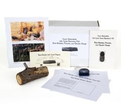 Life Cycle Discovery Kit®: Bark Beetles