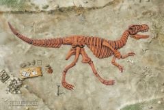Tyrannosaurus Rex Skeleton Diorama Kit