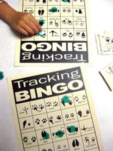 Tracking Bingo Game (Large Group Kit)