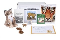 Wildlife Discovery® Kit: Bobcat