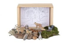 Hardwood Forest Diorama (Create-A-Scene® Habitat Diorama Kit)