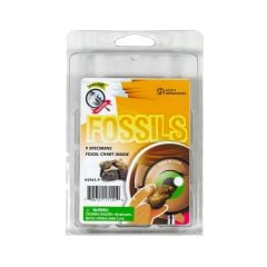 Explore With Me: Fossils Kit