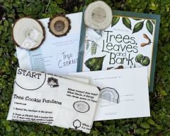 Budding Naturalists® Tree Cookie Explorer Adventure Kit (Ages 8 - 13)