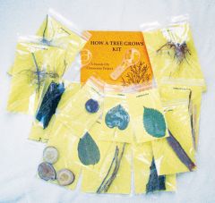 How A Tree Grows Kit