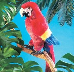 Macaw (Scarlet) Puppet