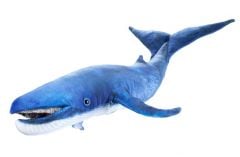 Whale (Blue) Puppet