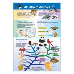 All About Animals (Laminated Poster)