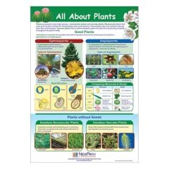 All About Plants (Laminated Poster)