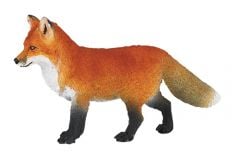 Fox (Red) Model