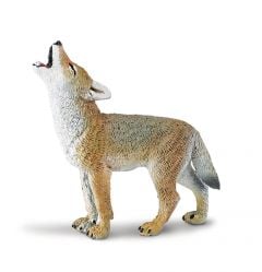 Coyote Pup Model