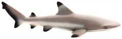 Shark (Black-Tipped Reef) Model