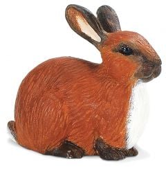 Rabbit Model