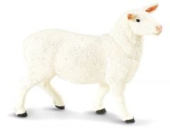 Sheep (Ewe) Model