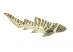 Shark (Zebra) Model