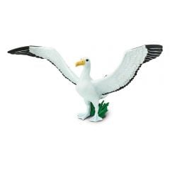 Albatross (Giant) Model