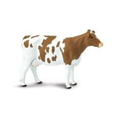 Cow (Ayrshire) Model