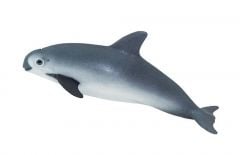 Porpoise (Vaquita) Model