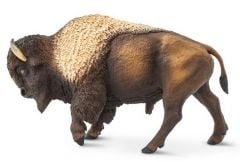 Bison Model