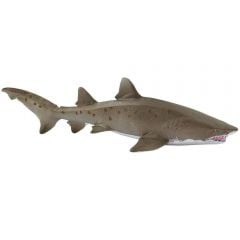 Shark (Sand Tiger) Model
