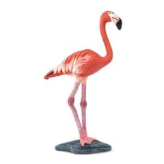 Flamingo Model
