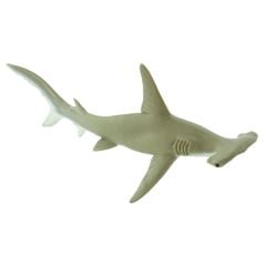 Shark (Hammerhead) Model