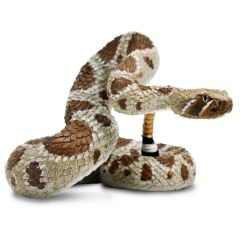 Rattlesnake (Western Diamondback) Model