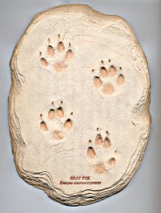Fox (Gray) Track Cast (Large Plaque)