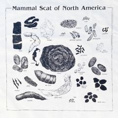 Original Bison Design Animal Scat Scarf: Natural Cotton