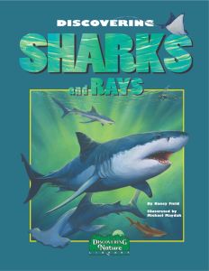 Discovering Sharks & Rays