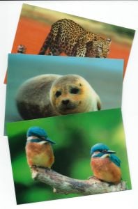 3-D Image Postcards (Set Of 5)