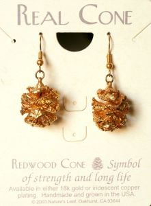 Redwood Cone Gold Earrings (Nature'S Leaf)